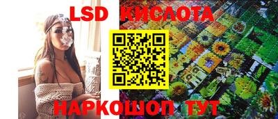 амф Бердск