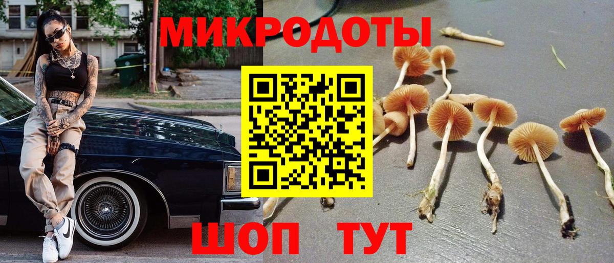 Канабис Новороссийск