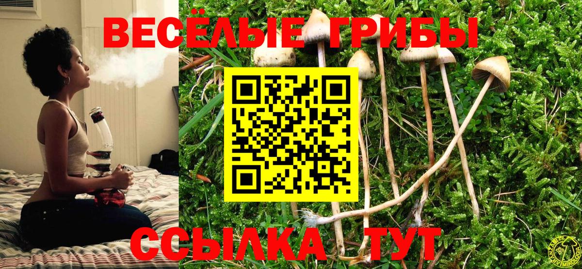 Галлюциногенные грибы Cubensis Новороссийск