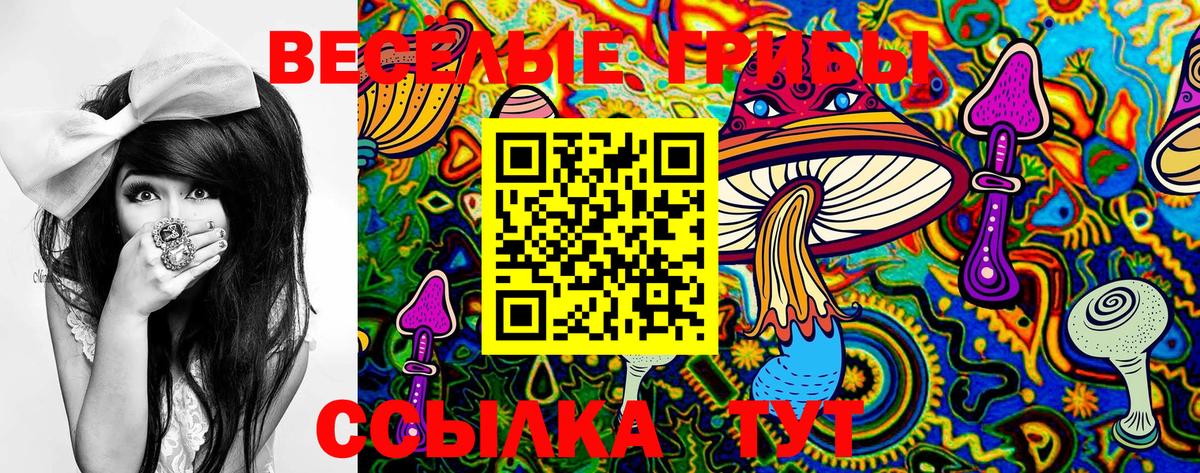 Новороссийск  Галлюциногенные грибы Magic Shrooms  Вход с VPN 